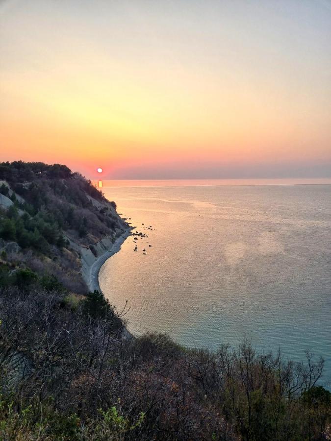 Apartma Pinea بورتوروز المظهر الخارجي الصورة